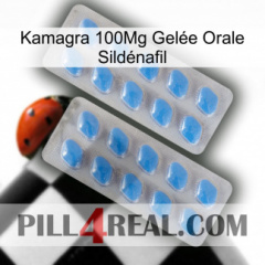Kamagra 100Mg Gelée Orale Sildénafil 23